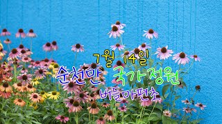 🌺🌹7월 14일 순천만 국가정원🌹✨