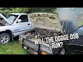 Will the Dodge D50 start?