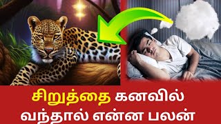 கனவு பலன் l சிறுத்தை கனவில் வந்தால் என்ன பலன் ? l Siruthai kanavil Vanthal