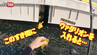 このすき間に【ヴァタリオン】を入れると…