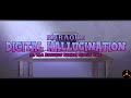 Digital hallucination ( karaoke version) /(караоке)