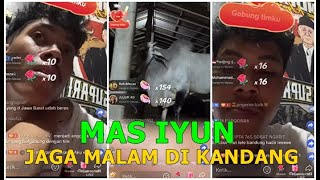 live, mas iyun JAGA MALAM dikandang