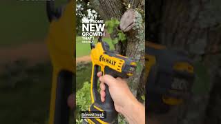 The greatest tool ever made?! #dewalt