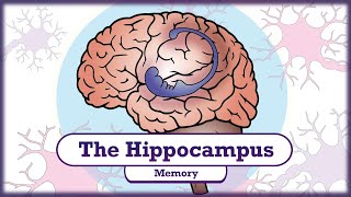 Memory and the Hippocampus