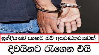 ඉන්දියාවේ සැඟව සිටි අපරාධකරුවෙක් දිවයිනට රැගෙන එයි