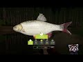 how to go spin fishing russian fishing 4 rf4