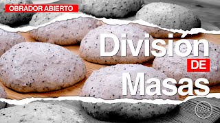 División de masas | PANHABLA LAB | CAP 35