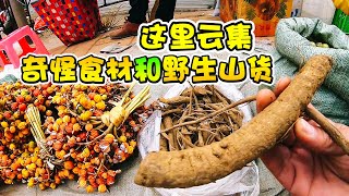 云南山区农村菜市场，各种奇怪食材和野生山货云集