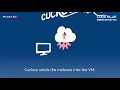 code blue 2019 malconfscan with cuckoo overview