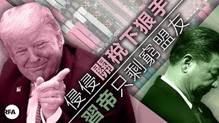 【桑海神州】2018年8月1日 侵侵關稅下狠手，習帝只剩窮盟友