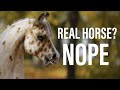 HOW TO MAKE A REALISTIC HOBBYHORSE
