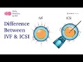 What is the difference between IVF & ICSI ? | Birla Fertility & IVF