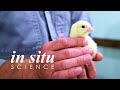 The Science Behind Poultry Farming