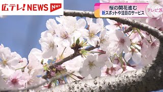 桜の開花進む　広島の新スポットで注目の花見とは