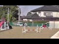 2015_02_28 栗之介＠野田　agility　lastrun