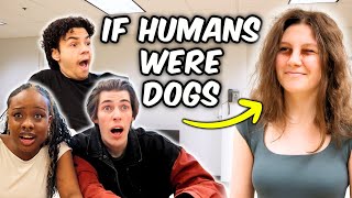 If Actors were Dog Breeds