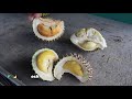 how to choose u0026 pick the best durian avoid buying fake musang king black thorn