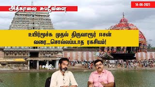 உயிர்மூச்சு முதல் திருவாரூர் ஈசன் வரை...சொல்லப்படாத ரகசியம்!