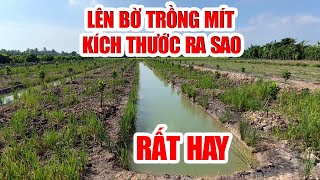 CÁCH LÊN LÍP TRỒNG MÍT