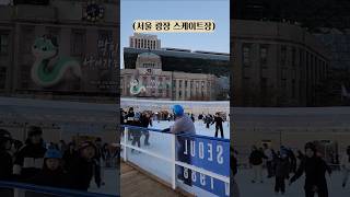 서울시청 광장 스케이트장 Seoul Gwangjang Ice Skating Rink #shorts