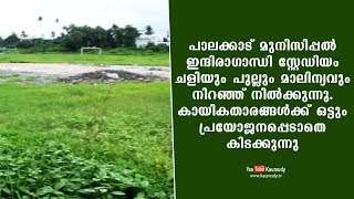 പാലക്കാട് മുനിസിപ്പൽ ഇന്ദിരാഗാന്ധി സ്റ്റേഡിയം ചളിയും പുല്ലും മാലിന്യവും നിറഞ്ഞ് നിൽക്കുന്നു