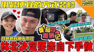 用最便宜的方式装修！林北决定亲自下手去做！【番茄盖房记 #2】【VLOG】#276