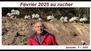 5 février 2025 au rucher#apiculteur#abeilles#lesabeillesdefred07#apiculture#abeilles