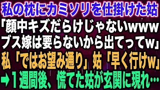 【スカッとする話】私の枕にカミソリを仕掛けた姑「顔中キズだらけじゃないwwwブス嫁は要らないから出てってw」私「ではお望み通り」姑「早く行けw」➡︎１週間後、慌てた姑が玄関に現れ…【修羅場】