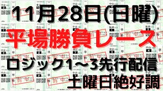 【競馬予想】１１月２８日の平場勝負レース＆YouTubeメンバーシップの先行配信！ロジック１～３の該当馬！