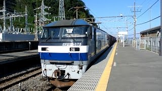 【秋晴れ】根府川駅を通過する貨物列車【2014年10月19日】