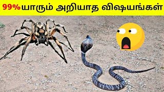Interesting facts in Tamil | Facts In Minutes | Minutes Mystery | info bytes | #shorts #viralvideo