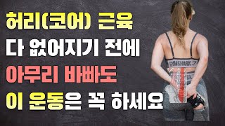 [허리통증]과학적으로 검증된 허리(코어)근육 강화 방법 BEST3