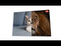 Image Comparison Slider (HTML, CSS and JavaScript)