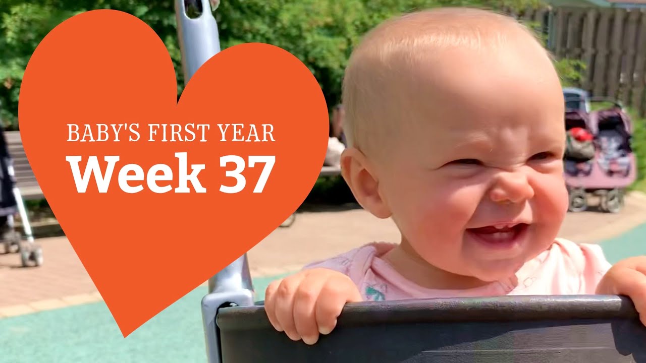 37 Baby Week By Week B Wk2wk - YouTube