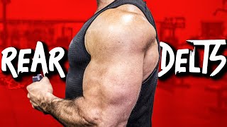 REAR DELTS | 3 Reasons Your Posterior Deltoids WILL NEVER GROW!