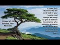 ** 1 Peter 3:7-12 - Growing Thru Adversity ** |Grace Bible Fellowship Monmouth County| Events