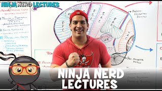 Ninja Nerd Science + Ninja Nerd Medicine = Ninja Nerd Lectures