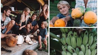 A DAY IN OUR HAWAII LIFE | Big Island Abundance