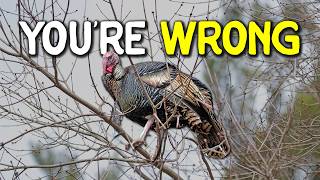 How to Roost Turkeys (Most Hunters Do This Wrong)