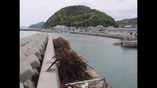 子父雁周辺の釣り場