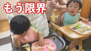 １歳の娘は初めてのサンドイッチをバラバラに…！なぜか兄妹揃ってパン耳が大好き【1-year-old daughter takes apart her first sandwich】