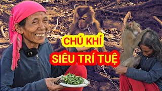 CHÚ KHỈ SIÊU TRÍ TUỆ, TRẢ TIỀN TỶ KHÔNG BÁN