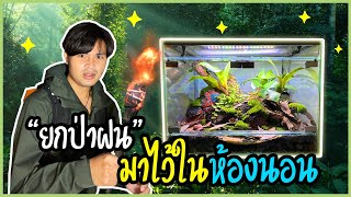 ตั้งตู้จำลองป่าฝน [ท้ายคลิปมีกิจกรรมแจกของ] | Setting up a Vivarium 