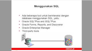 4 Database Interfaces Oracle