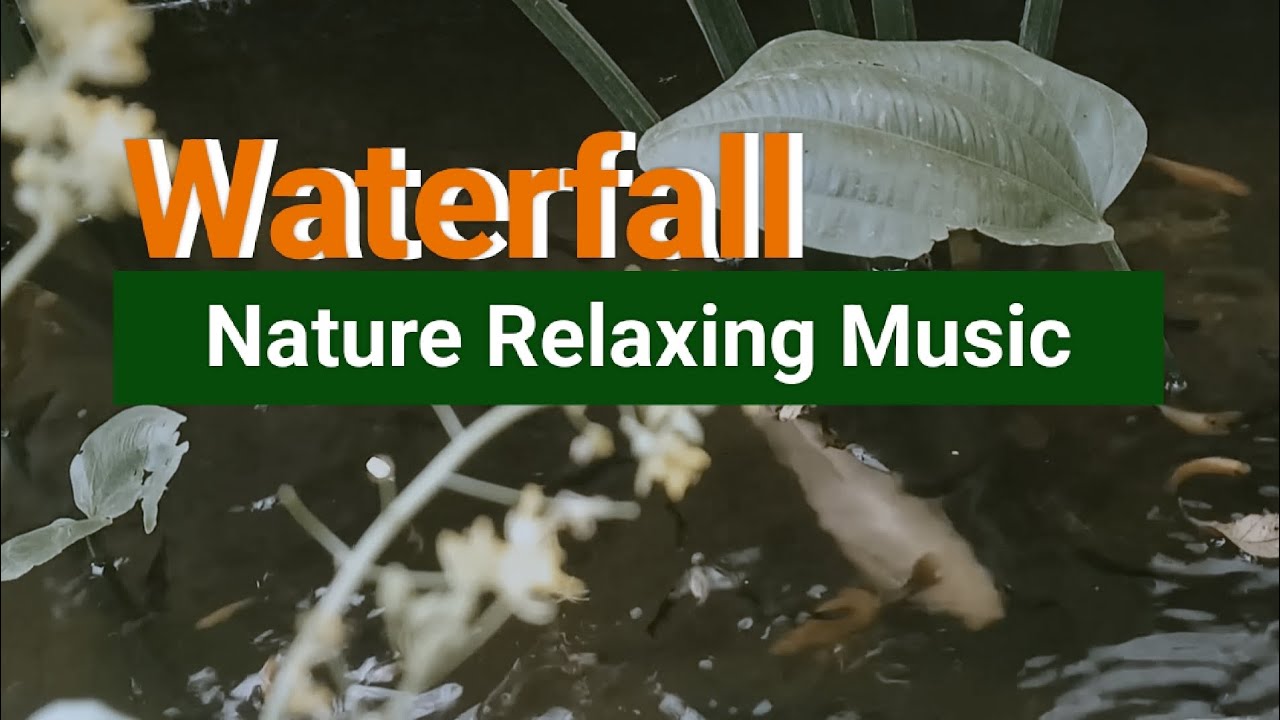 Waterfall Relaxing Sounds One Hours Nonstop Youtube