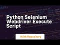 python selenium webdriver execute script