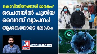 ചൈനയിൽ പടരുന്ന വൈറസ് കോവിഡിനെക്കാൾ അപകടകാരി? | New Virus spread in China