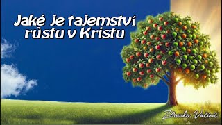 Tajemství růstu v Kristu - Jsme očištěni od vědomí, (že jsme hříšníci) od hříšného svědomí