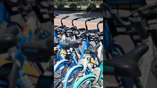 街头共享单车（自行车），扫码可骑车 | China bike sharing