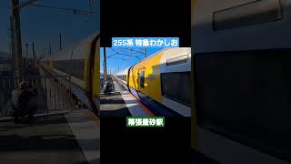 255系 特急わかしお号 幕張豊砂駅 通過 #shorts